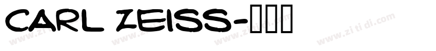 carl zeiss字体转换
